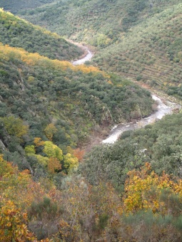 Río Alagón